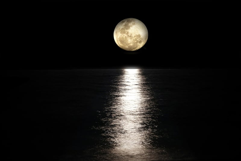 Moonlit Wedding